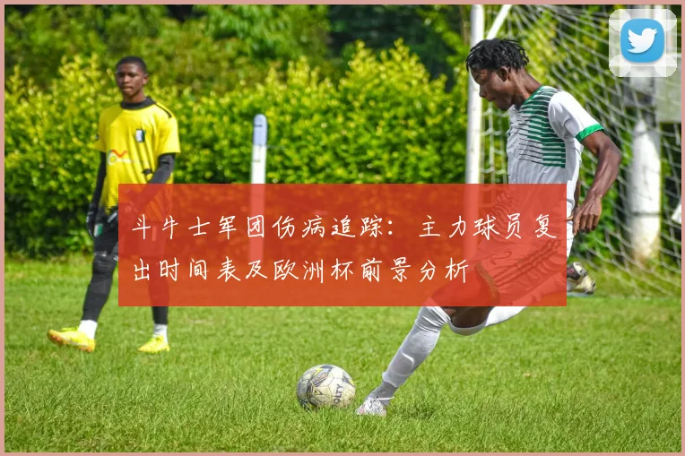 斗牛士军团伤病追踪：主力球员复出时间表及欧洲杯前景分析